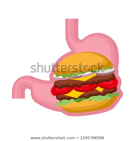 Foto d'archivio: Burger In Stomach Belly And Hamburger Heaviness In Abdomen In