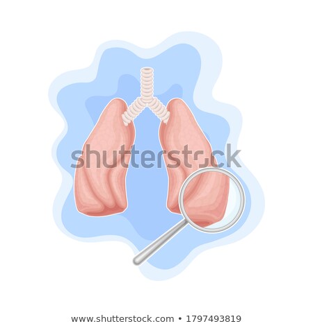 Foto stock: Lungs With Magnified Part Illustration