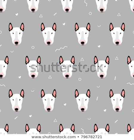 Stockfoto: Vector Set Of Dog Bull Terrier