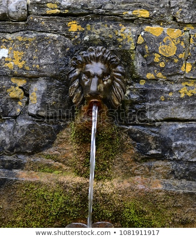 Foto stock: Lions Head Drinking Fountain At The Chalice Well