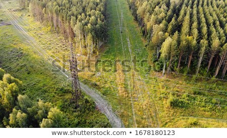 Stock photo: Pylon And Transmission Power Line In Summer Day