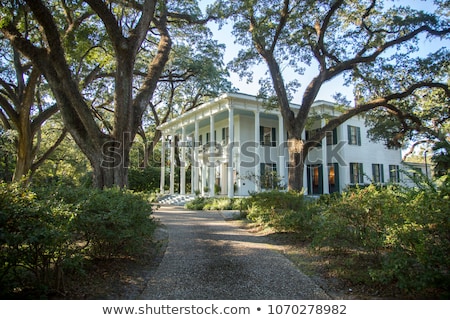 Stock photo: White Southern Mansion