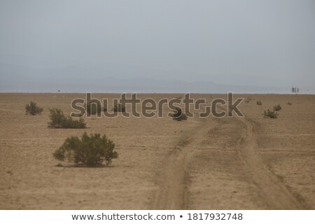 [[stock_photo]]: Arab Dancing At Deset Seaside