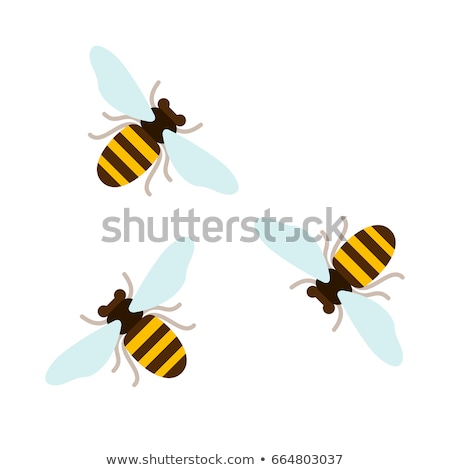 Foto stock: Buzz Groups