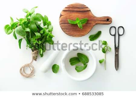 Zdjęcia stock: Fresh Lemon Balm In White Bowl