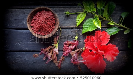 ストックフォト: Hibiscus Flower And Spices