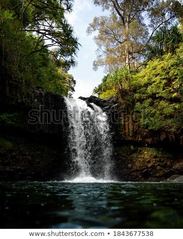 Сток-фото: Lush Green Foliage And Twin Waterfalls In Nature