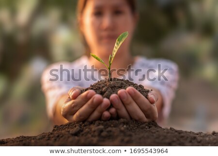 [[stock_photo]]: Agriculture And Ecology