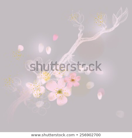Stock photo: Young Rosy Apple On The Tree