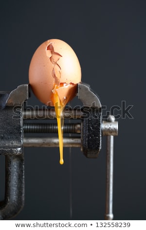 Egg In Vise Stock fotó © cosma