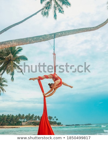 Stock photo: Aerialist