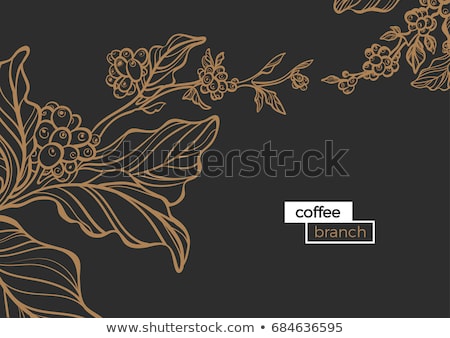 Stock fotó: Golden Coffee Background