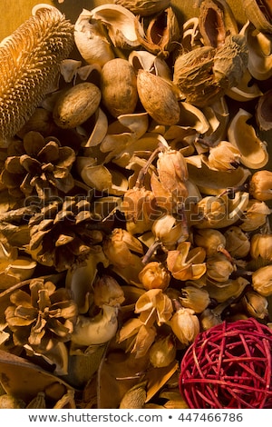 Foto d'archivio: Aromatherapy Potpourri Dried Plants And Flowers Nuts