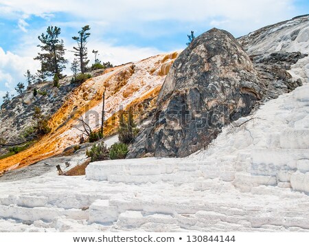 Stok fotoğraf: White Dome Geyser Dormant Yellowstone National Park Geothermal A