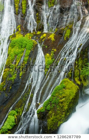 Сток-фото: Panther Creek In Gifford Pinchot National Forest