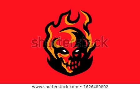 Stock photo: Skull 01