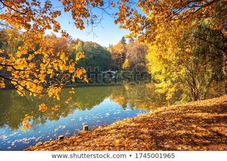 Сток-фото: Dawn In The Autumn Park