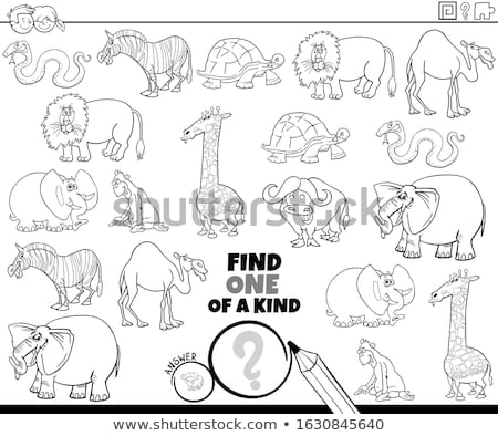 Stockfoto: One Of A Kind Game With Wild Animals Color Book