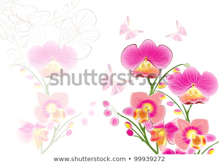 Zdjęcia stock: Pink Orchid Flower In Bloom Abstract Floral Blossom Art Backgro