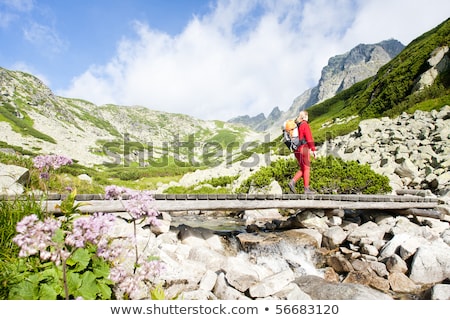 Stock photo: Great Cold Valley Vysoke Tatry High Tatras Slovakia