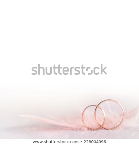 [[stock_photo]]: Roses Petals And Rings