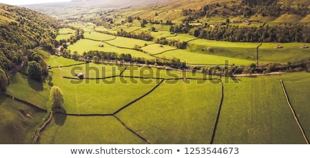 Stock fotó: Scenic View Of Countryside England