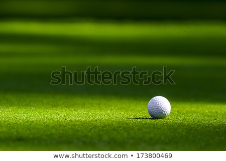Сток-фото: Golf Ball On The Green Grass Of The Golf Course