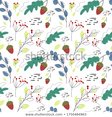 Stock fotó: Scandinavian Seamless Vector Pattern In Black And White Nordic Background With Foxes And Flowers F