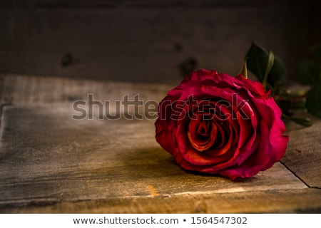 Stock fotó: Dark Red Roses On Table