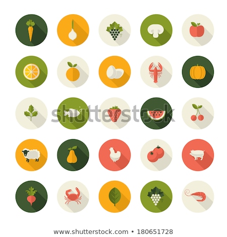 Сток-фото: Healthy Food Vegetable Pumpkin Vector Sign Icon