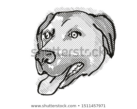 Stock fotó: Anatolian Shepherd Dog Dog Breed Cartoon Retro Drawing