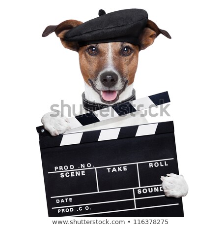 Foto stock: Movie Director Dog