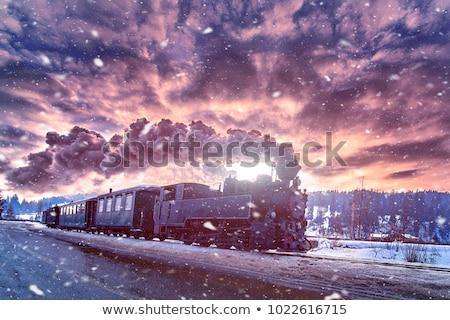 Zdjęcia stock: Train In The Snow
