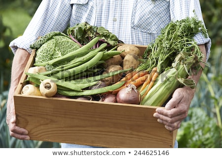 Stok fotoğraf: Senior Man On Allotment With Box Of Home Grown Vegetables