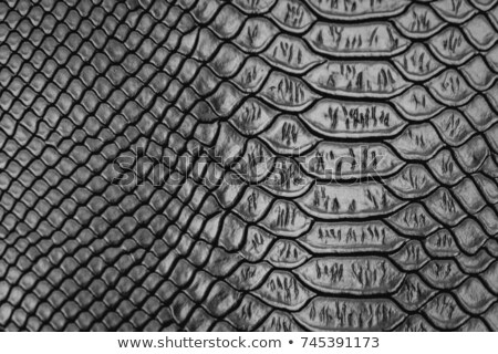 Foto stock: Snake Leather Skin Imitation