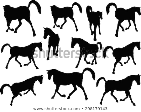 Stock photo: Horse Silhouette In Prancing Walk Pose