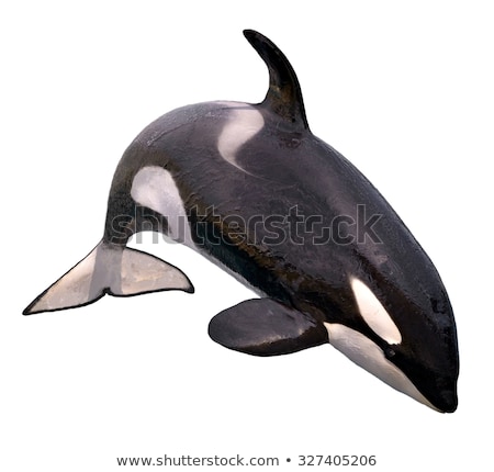 Stockfoto: Black Whale Isolated On White Background