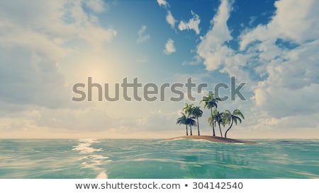 Stockfoto: Palms On A Small Ocean Island