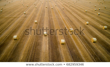 Stock photo: Aerial View Of Tractor Making Hay Bale Rolls In Field