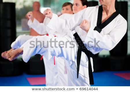 Stock fotó: Man Doing Martial Art Kick