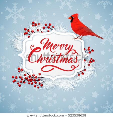 Christmas Banner With Snowflakes And Cardinal Bird Foto d'archivio © Artspace