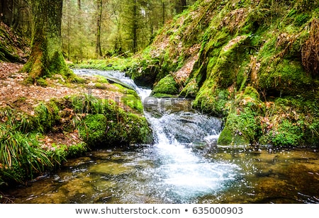 Foto stock: Beautiful Scene In The Forest With Waterfall And River Stream