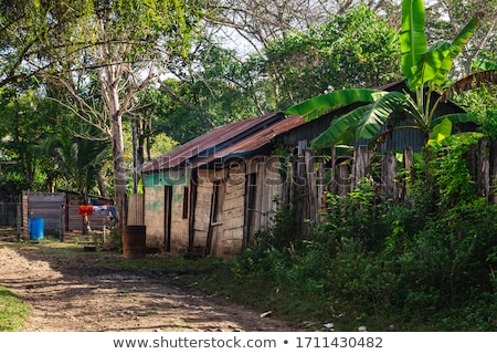 Foto stock: House Of The Nation