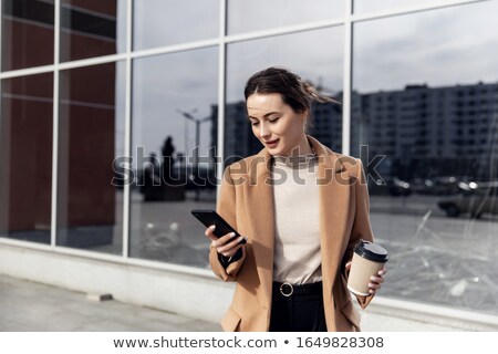 Zdjęcia stock: Portrait Of Beautiful Business Woman On The Phone At Her Office