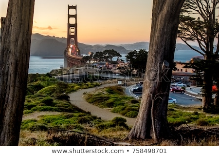 [[stock_photo]]: Light Trails On San Francisco Golden Gate Bridge