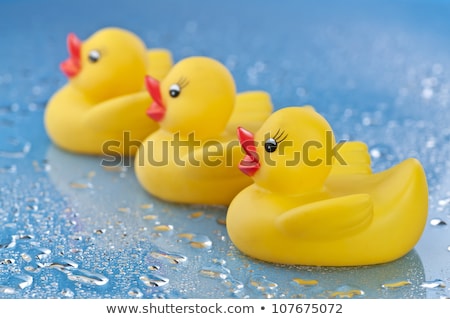 [[stock_photo]]: Get All Of Your Ducks In A Row