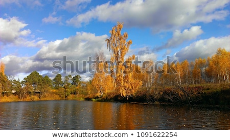 Stock fotó: Sunny Day In Outdoor Park With Autumn Trees Reflection