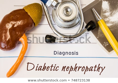 ストックフォト: Diabetic Nephropathy Kidney Disease