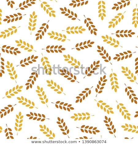 Stock fotó: Colorful Abstract Agricultural Seed And Grains Background