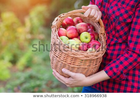 Сток-фото: Woman Holding Basket With Apple In Hand